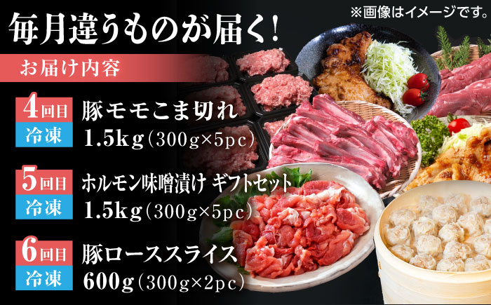 【12回定期便】豚帝 食べ比べ定期便【KRAZY MEAT(小田畜産)】 [ZCP038]