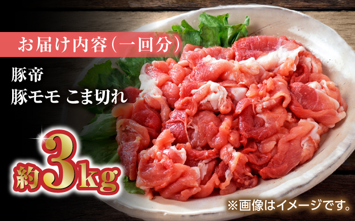 【3回定期便】豚帝 豚モモ こま切れ 切り落とし 3kg（300g×10pc）【KRAZY MEAT(小田畜産)】 [ZCP058]