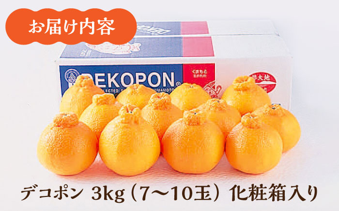【先行予約】デコポン 約3kg （7～10玉）化粧箱入り【鹿本農業協同組合】 [ZAG006]