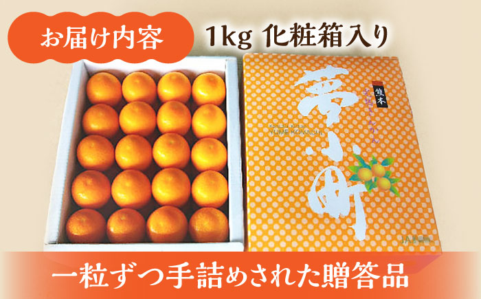 【先行予約】 ハウスきんかん 夢小町 約1kg 化粧箱 入り【鹿本農業協同組合】 [ZAG008]
