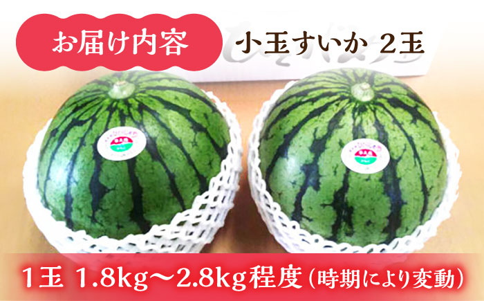 小玉 すいか 2玉入（1玉 約1.8kg～2.8kg）【鹿本農業協同組合】 [ZAG009]