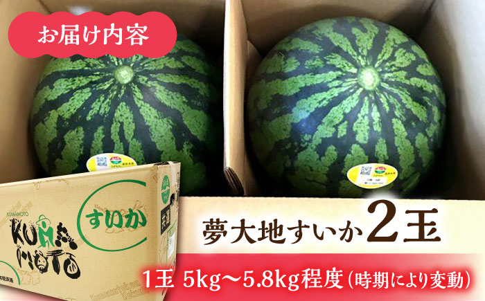 夢大地かもと すいか 2玉 Ｍサイズ（1玉 約5kg～5.8kg）【鹿本農業協同組合】 [ZAG011]