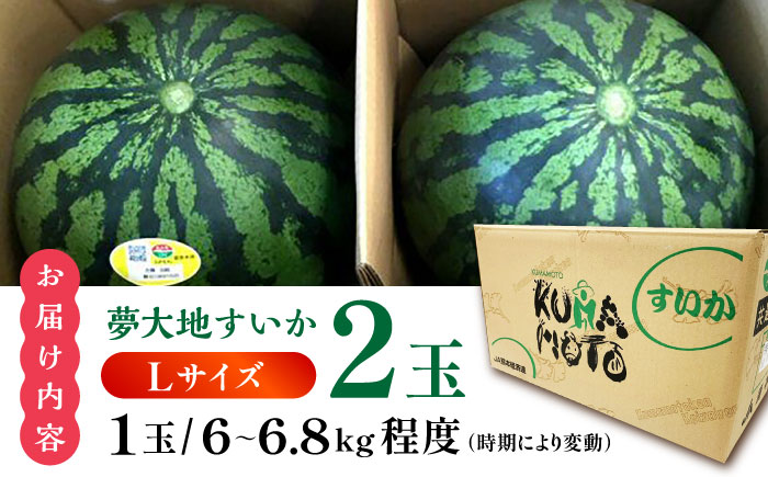 夢大地かもと すいか 2玉 Ｌサイズ（1玉 約6kg～6.8kg）【鹿本農業協同組合】 [ZAG012]