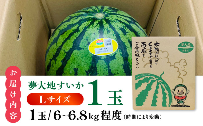 夢大地かもと すいか 1玉 Ｌサイズ（約6kg～6.8kg）【鹿本農業協同組合】 [ZAG013]
