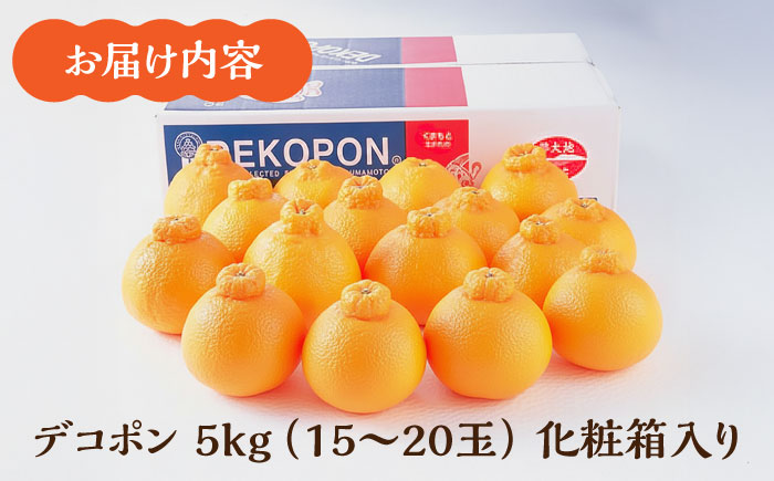 【先行予約】デコポン 約5kg （15～20玉）化粧箱入り【鹿本農業協同組合】 [ZAG015]