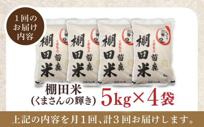 【3回定期便】 菊鹿 棚田米 20kg 【ミヤタ 株式会社 】   米 こめ お米 ご飯 精米 熊本県産 山鹿市  [ZAH012]