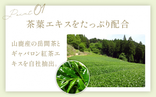 Ti-inaティーナ4点セット 山鹿市で栽培された岳間茶使用【株式会社 地の塩社】 [ZAN013]