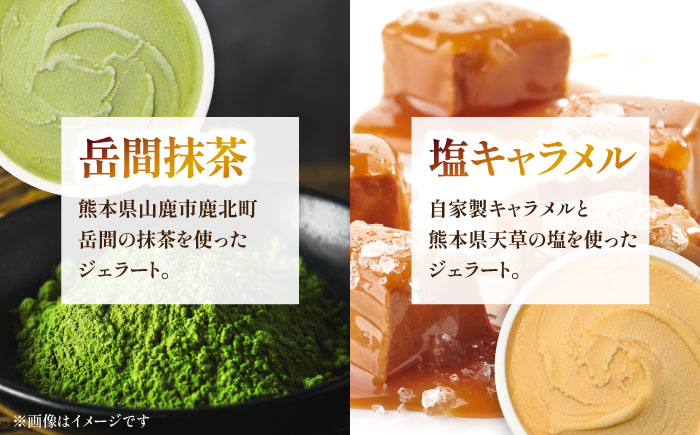 ジェラート 9個入り （ジャージーミルク、山鹿和栗、岳間抹茶 各2個 塩キャラメル、ショコラ、洒落柿クリームチーズ　各1個） （各100ml） 【株式会社パストラル】 [ZAR002]