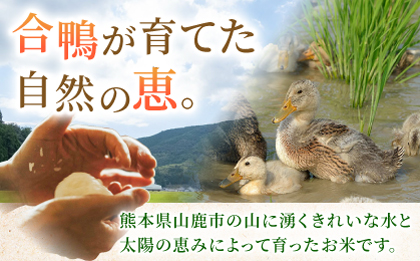 〈令和7年度新米〉 合鴨米 5kg 【あいがもん倶楽部】 新米 令和7年産 [ZAR026]