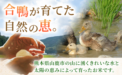 〈令和7年度新米〉 合鴨玄米 5kg×2 計10kg 【あいがもん倶楽部】 新米 令和7年産 [ZAR029]