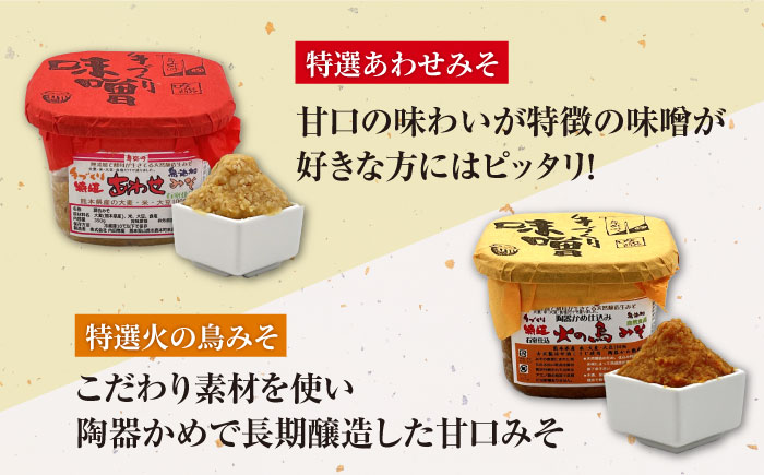 蔵元の味くらべ＜つゆ,甘露,味噌2種＞セット（甘露醤油250ml×1,天然かつおだしつゆ360ml×1,特選あわせみそ350g×1,特選火の鳥みそ350g×1）【株式会社内田物産 卑弥呼醤院】 [ZAU035]