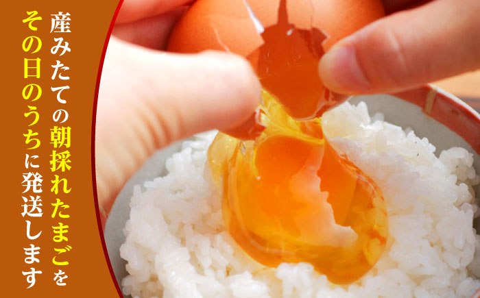 【全6回定期便】 たまご 30個 約2kg【マツヤマエッグファーム】 [ZAW007]