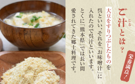 元祖！『ご汁の素』10袋セット 【熊本県産大豆使用】【株式会社 れんげ・カンパニー】 [ZAX001]