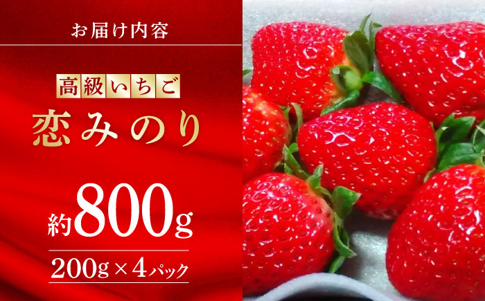 高級 いちご 恋みのり 約800g（200g×4pc）【伊藤農園】 果物 フルーツ イチゴ いちご 苺 熊本県  [ZBB006]