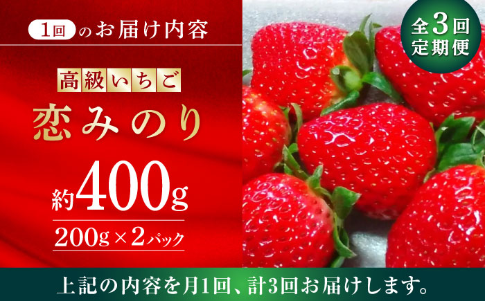 【先行予約】【3回定期便】高級 いちご 恋みのり  約400g（200g×2pc）【伊藤農園】 果物 フルーツ イチゴ いちご 苺 定期便 [ZBB008]