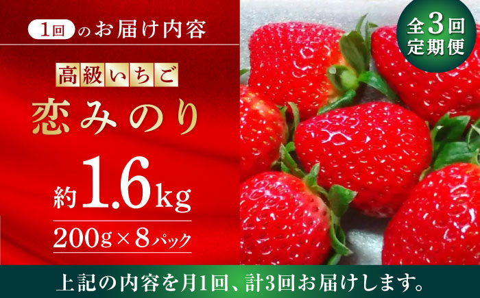 【先行予約】【3回定期便】高級 いちご 恋みのり  約1600g（200g×8pc）【伊藤農園】 果物 フルーツ イチゴ いちご 苺 定期便 [ZBB010]