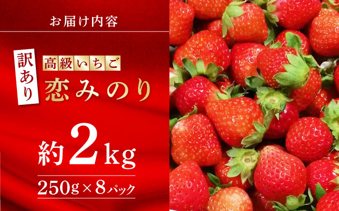 【訳あり】【先行予約】高級 いちご 恋みのり 約2000g【伊藤農園】 果物 フルーツ イチゴ いちご 苺  [ZBB012]