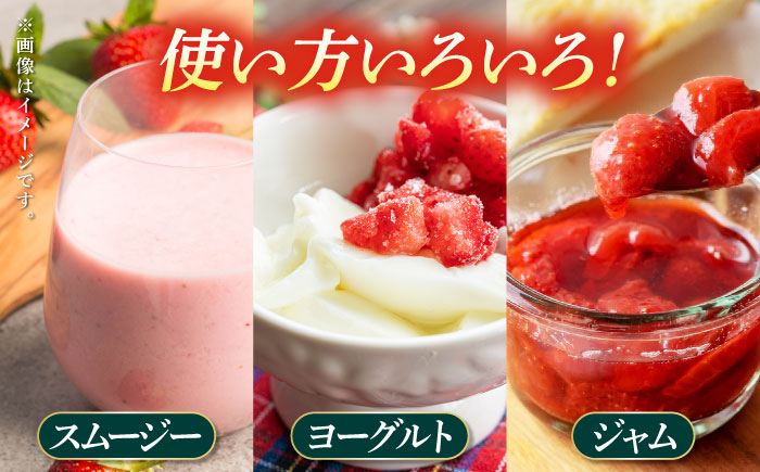 【3回定期便】高級 冷凍  いちご 加工用 約1kg（約500g×2袋）【伊藤農園】 恋みのり 冷凍 いちご 冷凍いちご 加工用  [ZBB015]