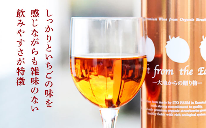 【12回定期便】高級 いちご 100％ワイン Giftfromthe Earth -大地からの贈り物- オーガニック【伊藤農園】 有機 お酒 ワイン オーガニックワイン  [ZBB020]