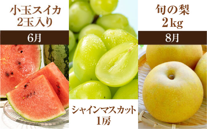 【先行予約】【全10回定期便】 プロが選ぶ！ 旬 の 果物 10ヶ月 定期便【くまふる】 フルーツ定期便 果物 くだもの 果物定期便  [ZBG005]