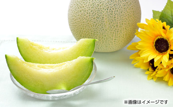 【先行予約】肥後グリーン 1玉【くまふる】 [ZBG022]