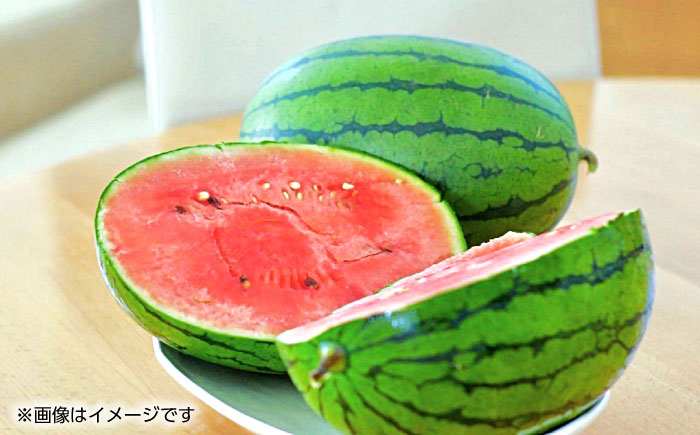 【先行予約】小玉 スイカ  2玉入り【くまふる】 [ZBG023]