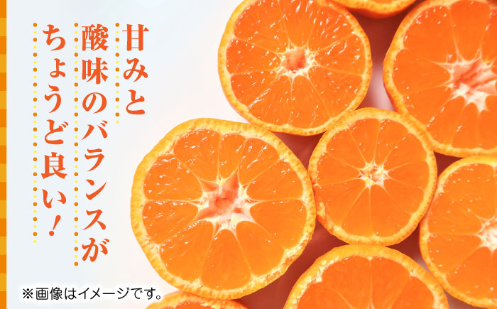 【先行予約】温州みかん約5kg　2S～2Lサイズ　【くまふる】 [ZBG051]