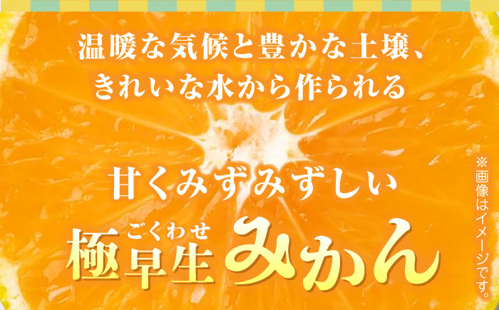 【先行予約】極早生みかん 約2.5kg　2S～2Lサイズ　【くまふる】 [ZBG056]