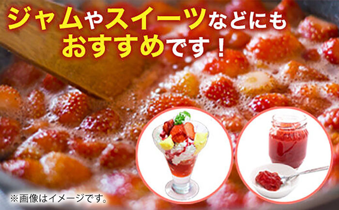 【先行予約】恋みのり 約1kg【くまふる】 [ZBG062]