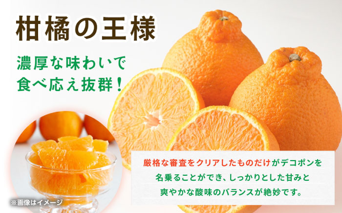 ハウスデコポン　約2kg 【くまふる】 [ZBG081]