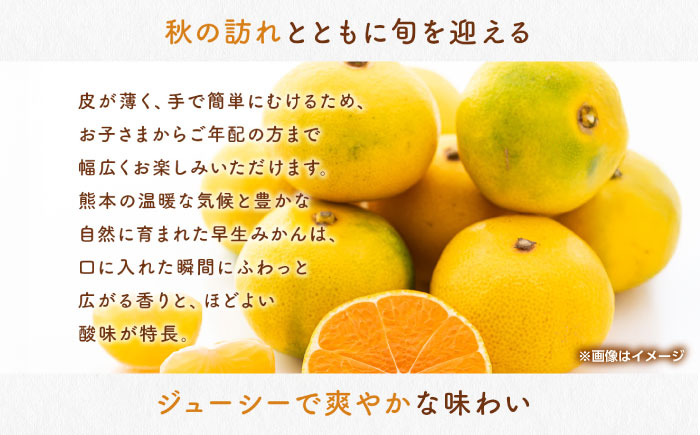 早生みかん　約4.5kg 【くまふる】 [ZBG082]