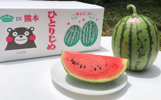 【先行予約】【初夏に実った贈り物】 小玉 スイカ 約7kg【なかむら農園】 [ZBH002]