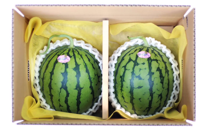 【先行予約】【初夏に実った贈り物】 小玉 スイカ 約4～4.5kg以上【なかむら農園】 [ZBH004]