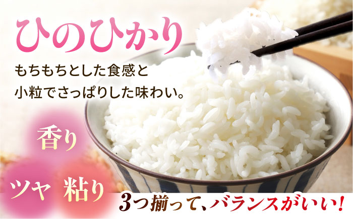 〈令和7年度新米〉 山鹿のお米 ヒノヒカリ 5kg×2【有限会社 あそしな米穀】 新米 令和7年産 [ZBI012]