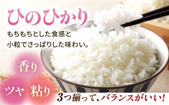 〈令和7年度新米〉 山鹿のお米 ヒノヒカリ 5kg【有限会社 あそしな米穀】 新米 令和7年産 [ZBI015]