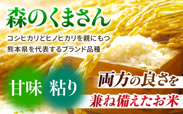 〈令和7年度産米〉【3回定期便】熊本県産 森のくまさん 白米 10kg (5kg×2) 米 お米 ご飯 こめ【有限会社 あそしな米穀】 [ZBI038]