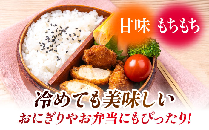 〈令和7年度産米〉【3回定期便】熊本県産 くまさんの輝き 白米 10kg (5kg×2) 米 お米 ご飯 こめ【有限会社 あそしな米穀】 [ZBI039]