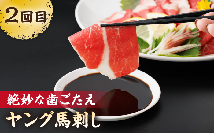 【3回定期便】毎月違う部位が届く！【馬刺しの郷 民守】 馬刺し 霜降り 赤身  [ZBL018]