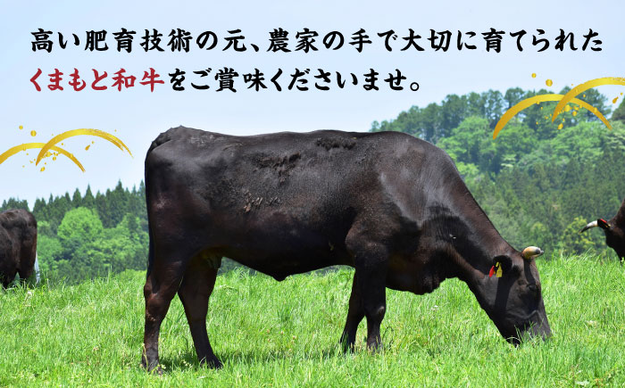 くまもと黒毛和牛 サーロインステーキ 計800g（4枚）【馬刺しの郷 民守】 ステーキ サーロイン ヒレ 霜降り 熊本 熊本県 黒毛和牛   [ZBL022]