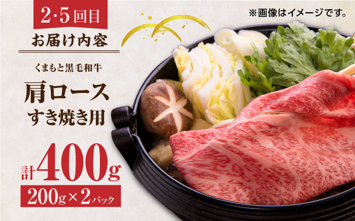 【6回定期便】くまもと黒毛和牛 贅沢定期便（ステーキ すき焼き しゃぶしゃぶ 焼肉）【馬刺しの郷 民守】 和牛 お肉 肉 ステーキ サーロイン  [ZBL036]