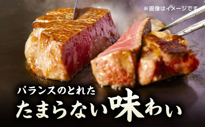 【3回定期便】くまもと黒毛和牛 ステーキ食べ比べ ヒレステーキ×4枚 サーロインステーキ×4枚【馬刺しの郷 民守】 食べ比べ セット 霜降り ステーキセット  [ZBL059]