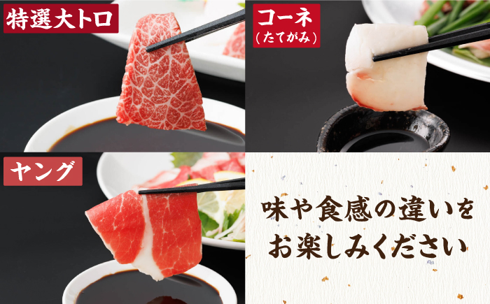 【6回定期便】馬刺し 特盛！バラエティセット 6種類 ?5・6人前? ＋タレ大【馬刺しの郷 民守】  肉 馬肉 馬 熊本県 特産品 特産  [ZBL077]