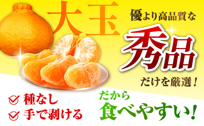 【2026年3月下旬から発送】柑橘の王様 ハウス栽培 不知火 デコポン 約3kg（7～12玉）みかん ミカン 果物 くだもの フルーツ かんきつ 熊本県産 秀 しらぬい しらぬひ  【小春農園】 [ZBN003]