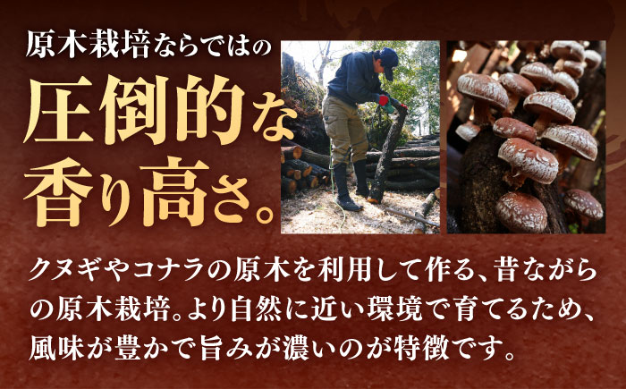 【全3回定期便】  原木 栽培 干し 椎茸 どんこ 小粒 約500g(100g×5袋) 【小春農園】 [ZBN006]
