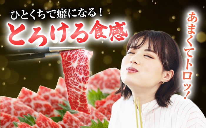 特選霜降り馬刺し 大トロ中トロ2種食べ比べセット　計600ｇ（各300g）【山鹿市（桜屋）】 [ZBO054]