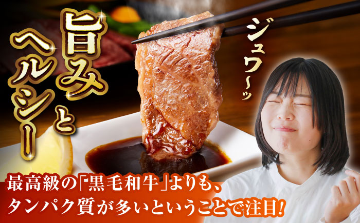 【6回定期便】GI認証 くまもとあか牛 焼肉用 約500ｇ【山鹿市（桜屋）】 [ZBO063]