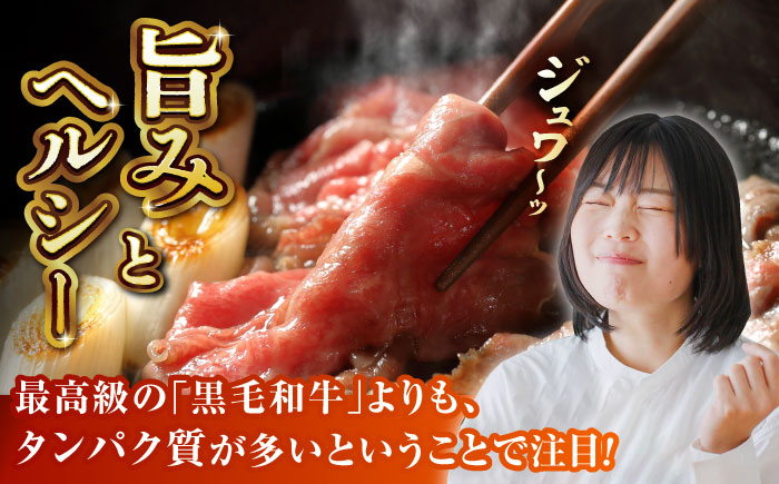 【6回定期便】GI認証 くまもとあか牛 すき焼き用 スライス 約500ｇ【山鹿市（桜屋）】 [ZBO065]
