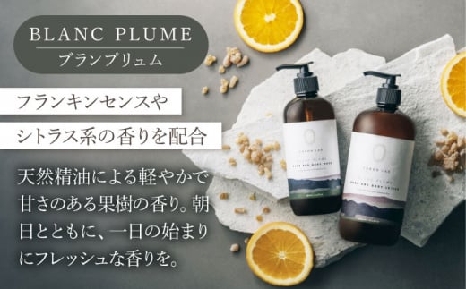 【全3回定期便】COKONLAB ハンド＆ボディウォッシュ ブランプリュム480ml×2本【株式会社 あつまるホールディングス NSP山鹿工場】 [ZBR021]