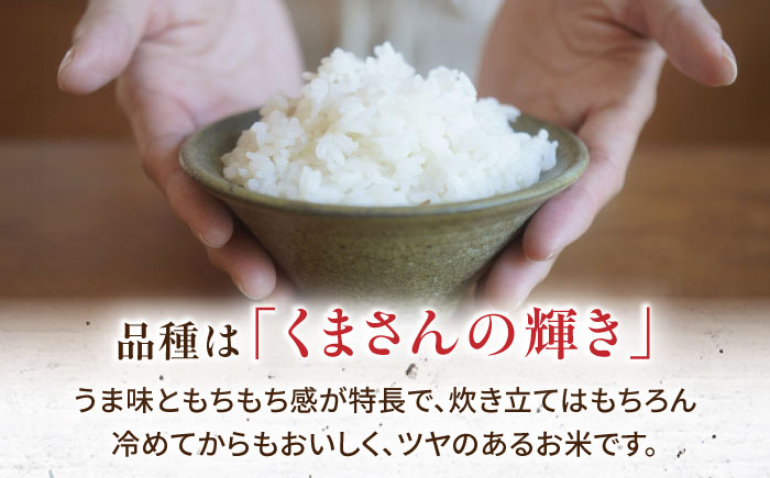 やまがシルク米 5kg【株式会社 あつまるホールディングス NSP山鹿工場】 [ZBR040]