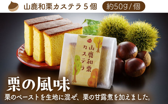 【6回定期便】カステラセット 山鹿和栗 & あんず 計10個 【株式会社あんず】 [ZBT009]